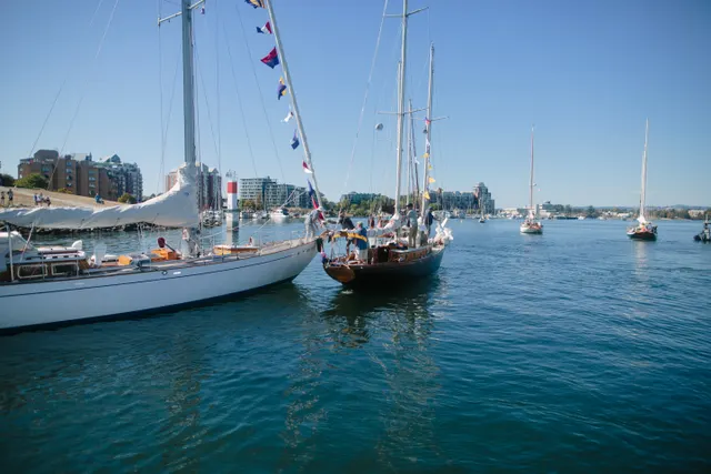 Photograph 3, Victoria Classic Boat Festival